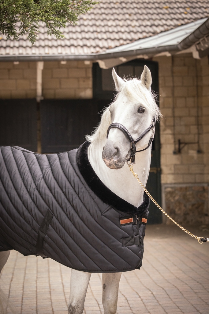 Diagonal Stable Rug 400 g - Black