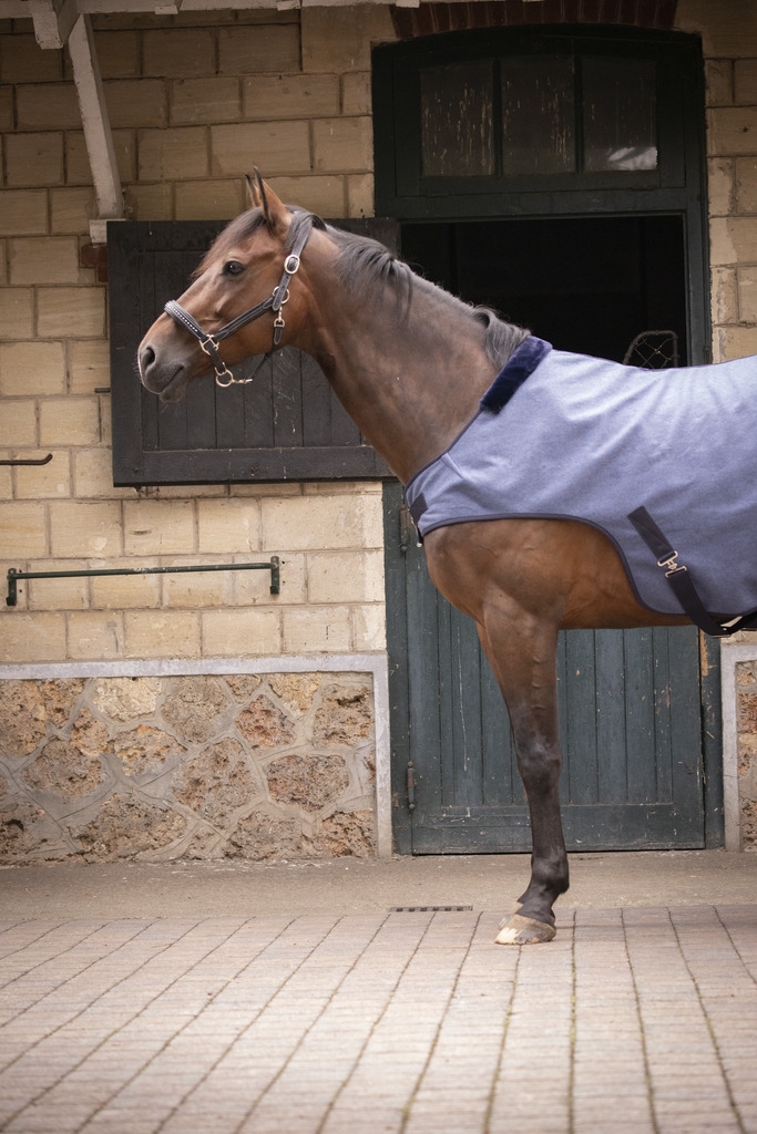 Wooltouch Walker Rug - Heather Blue