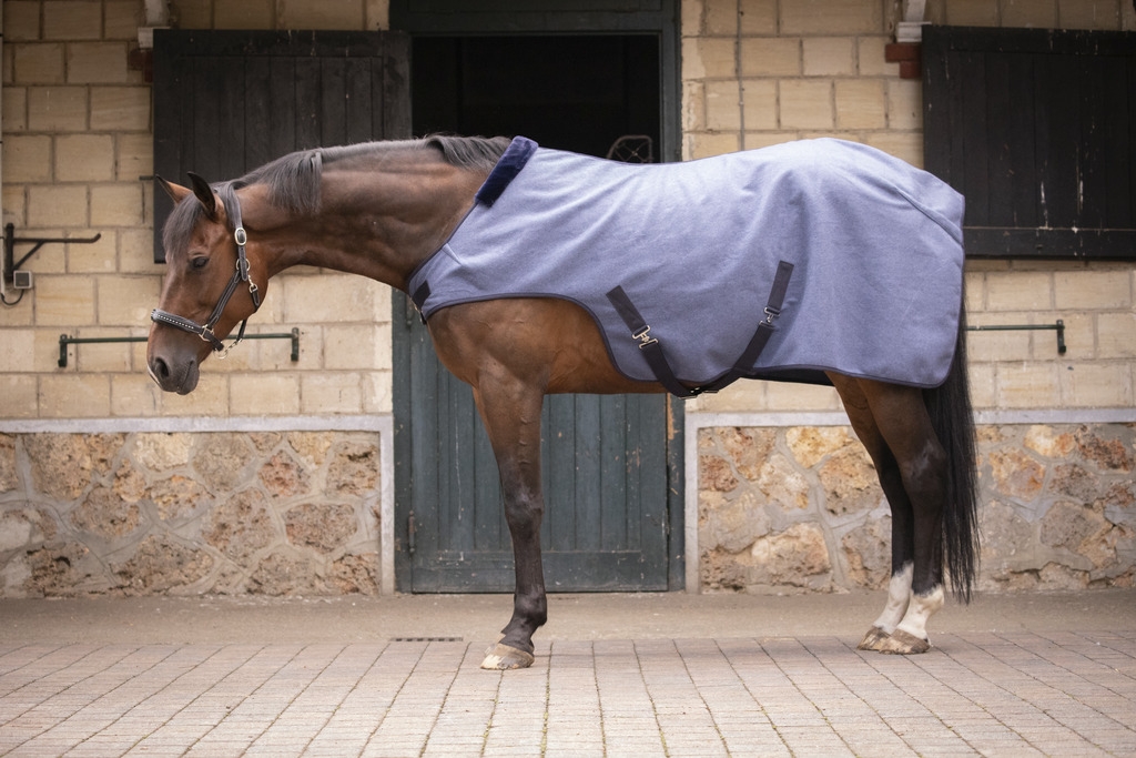 Wooltouch Walker Rug - Heather Blue