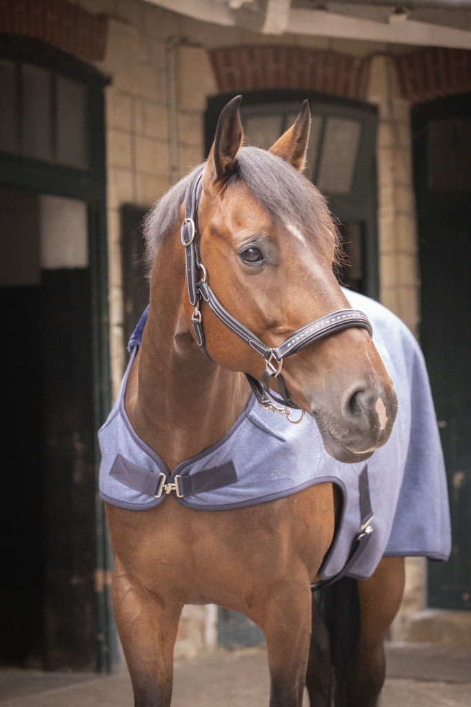 Wooltouch Walker Rug - Heather Blue