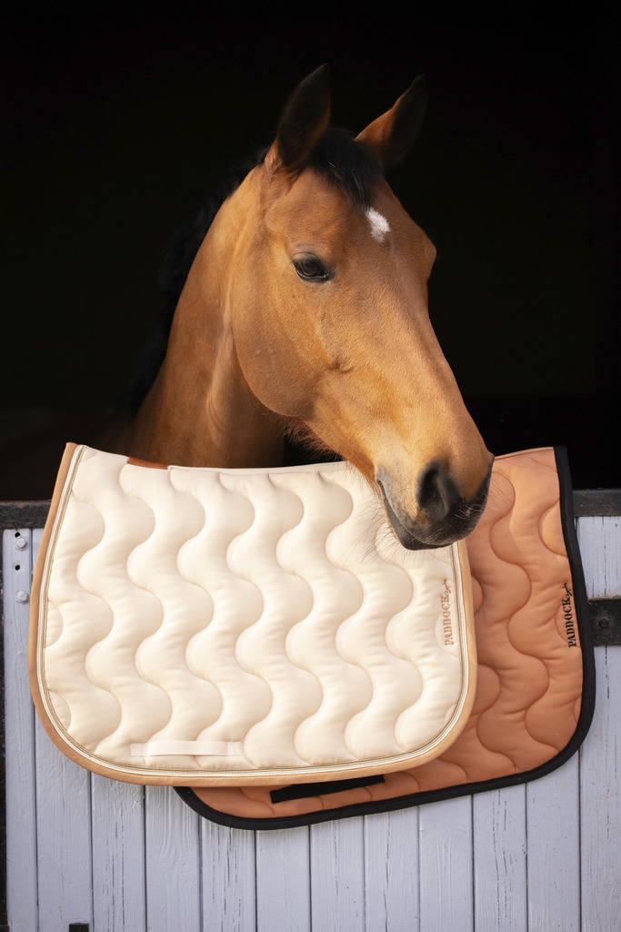 Origine Signature Saddle Pad all purpose - Vanilla