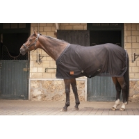 Mesh Sheet - Black Mesh Sheet - Black