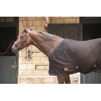 Mesh Sheet - Black Mesh Sheet - Black