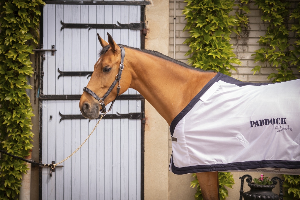 UV Mesh Combo Sheet - White