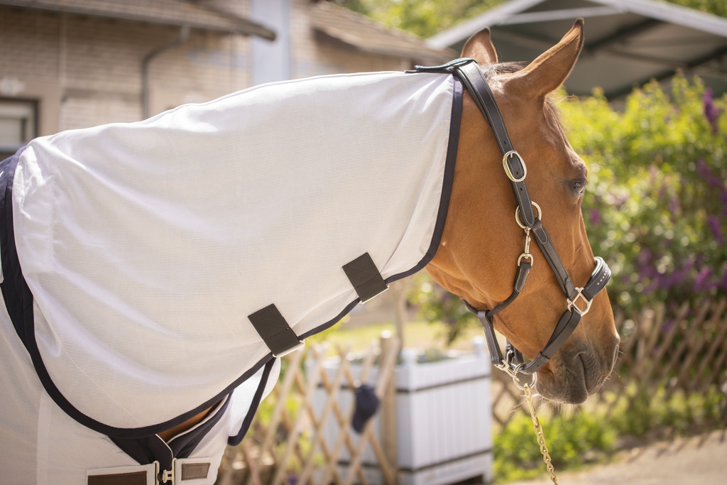 UV Mesh Combo Sheet - White