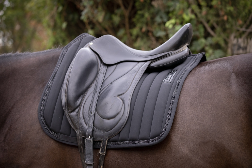 Verticali Dressage Saddle Pad - Black