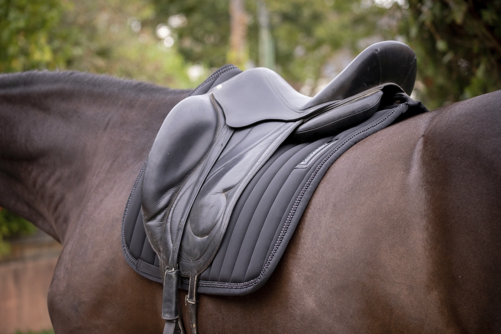 Verticali Dressage Saddle Pad - Black
