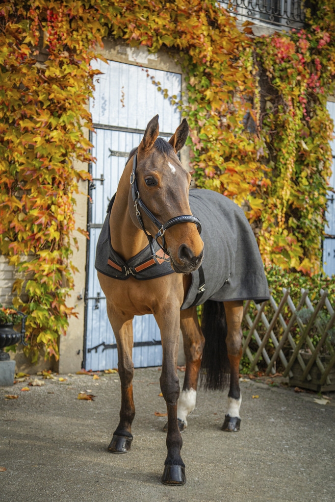 Wooltouch Walker Rug - Heather Grey