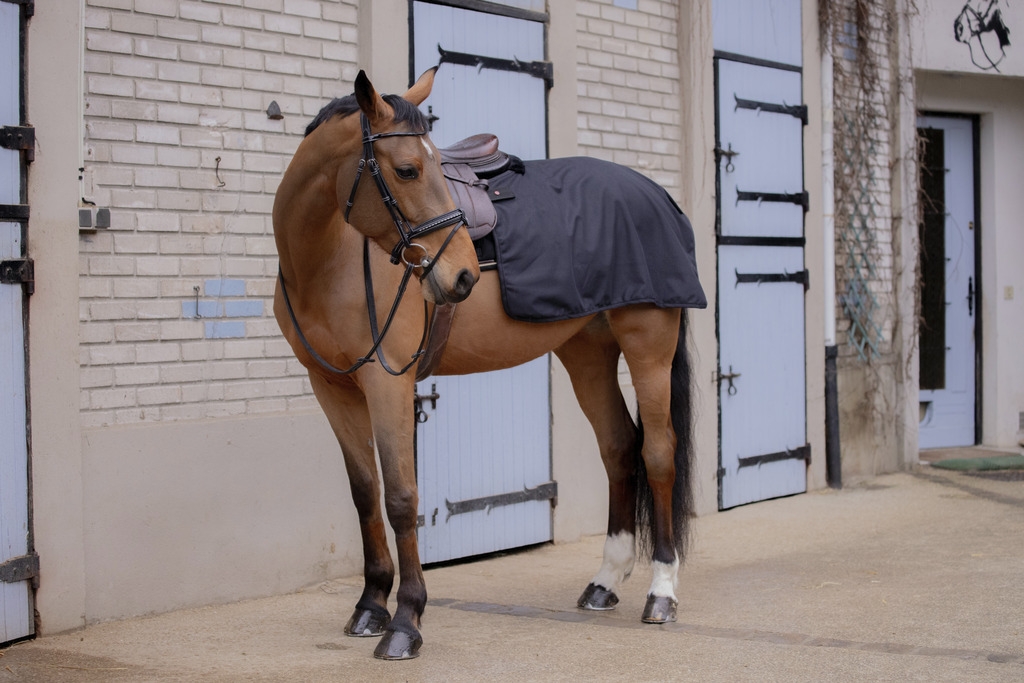 Classic Rain Quarter Exercise Sheet - Black