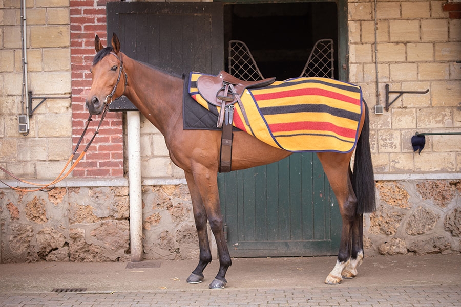 Couvre-reins Morning - Newmarket