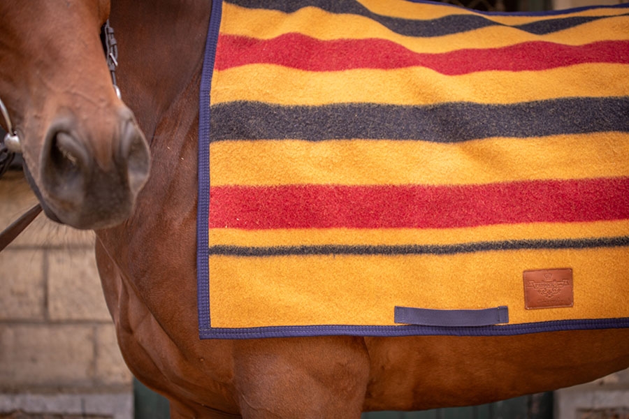 Morning Exercise Sheet - Newmarket