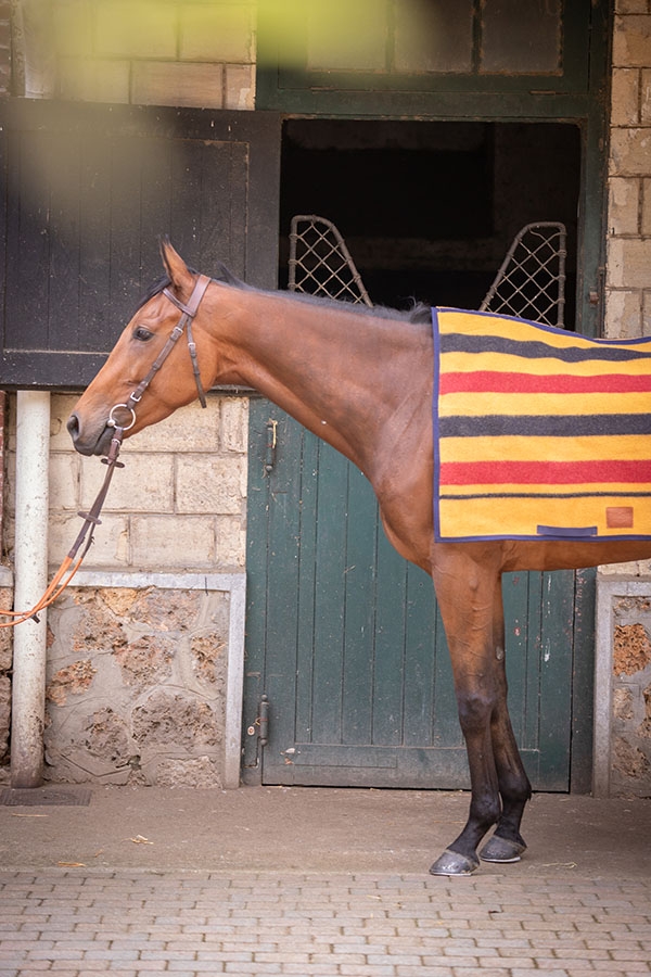 Couvre-reins Morning - Newmarket