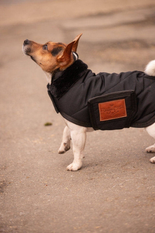 Diagonal Dog Rug - Black