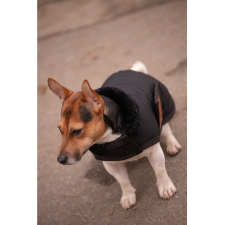 Couverture pour chien Diagonal - Noir