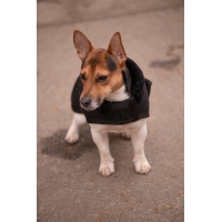 Couverture pour chien Diagonal - Noir Couverture pour chien Diagonal - Noir
