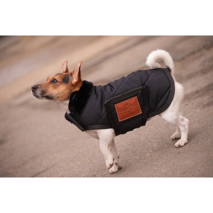 Couverture pour chien Diagonal - Noir