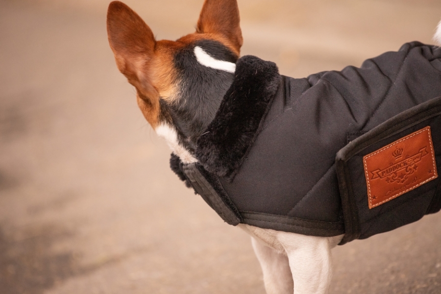 Diagonal Dog Rug - Black