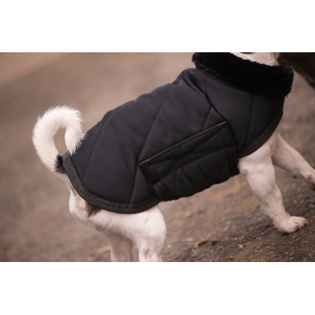 Couverture pour chien Diagonal - Noir
