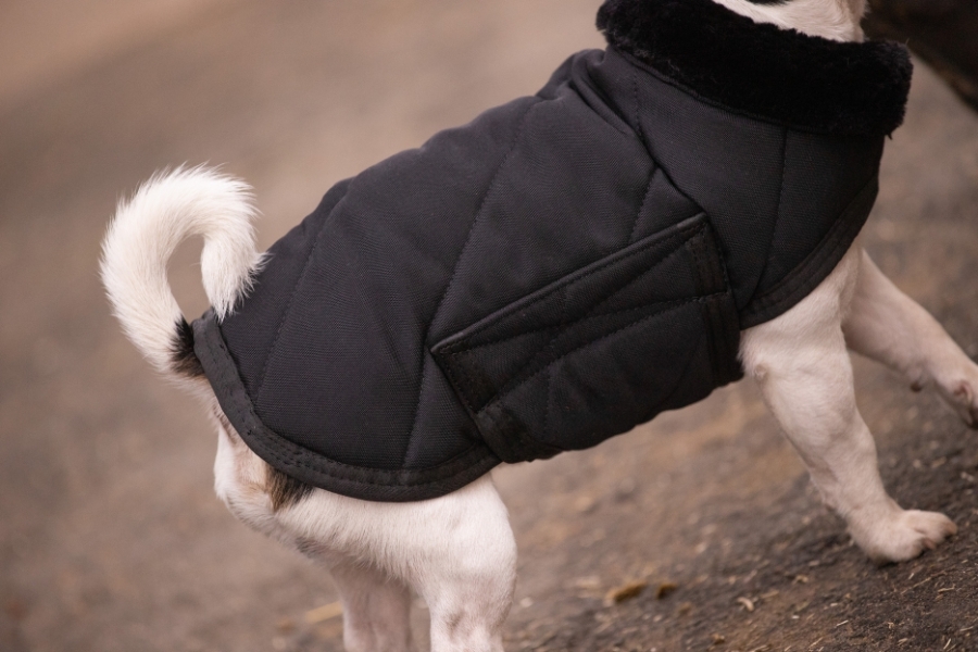 Diagonal Dog Rug - Black