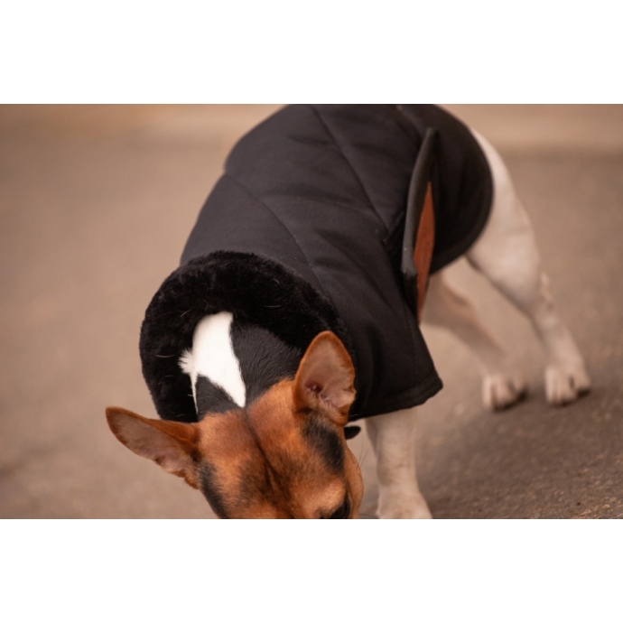 Couverture pour chien Diagonal - Noir
