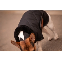 Couverture pour chien Diagonal - Noir Couverture pour chien Diagonal - Noir