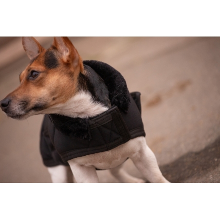 Couverture pour chien Diagonal - Noir