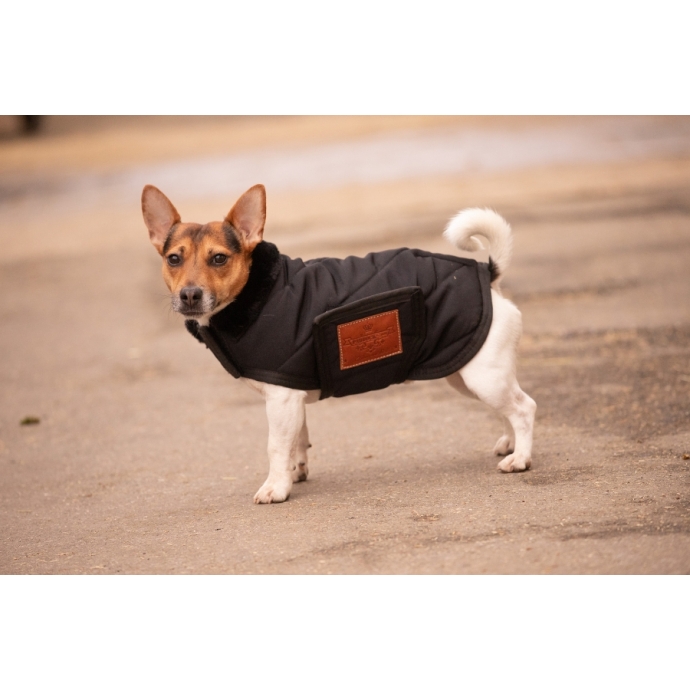 Couverture pour chien Diagonal - Noir