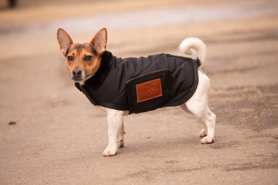 Diagonal Dog Rug - Black