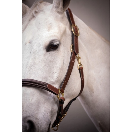 3-Snap Halter - Havana & Hazelnut