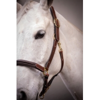 3-Snap Halter - Havana & Hazelnut 3-Snap Halter - Havana & Hazelnut