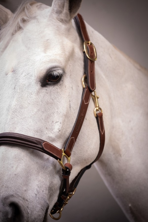 3-Snap Halter - Havana & Hazelnut