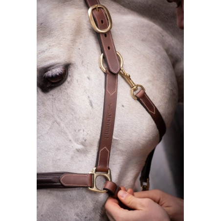 3-Snap Halter - Havana & Hazelnut