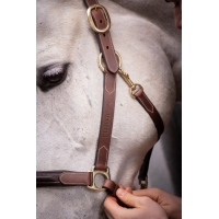 3-Snap Halter - Havana & Hazelnut 3-Snap Halter - Havana & Hazelnut