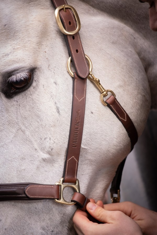 3-Snap Halter - Havana & Hazelnut