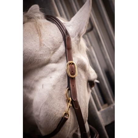 3-Snap Halter - Havana & Hazelnut