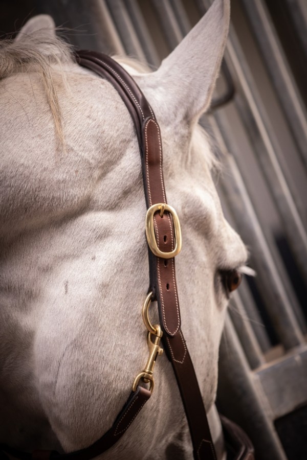 3-Snap Halter - Havana & Hazelnut