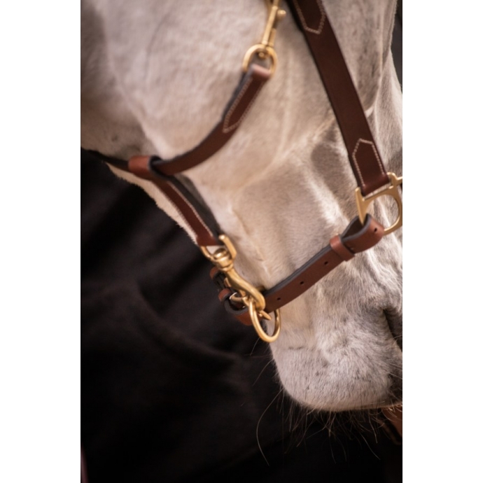 3-Snap Halter - Havana & Hazelnut