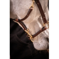 3-Snap Halter - Havana & Hazelnut 3-Snap Halter - Havana & Hazelnut
