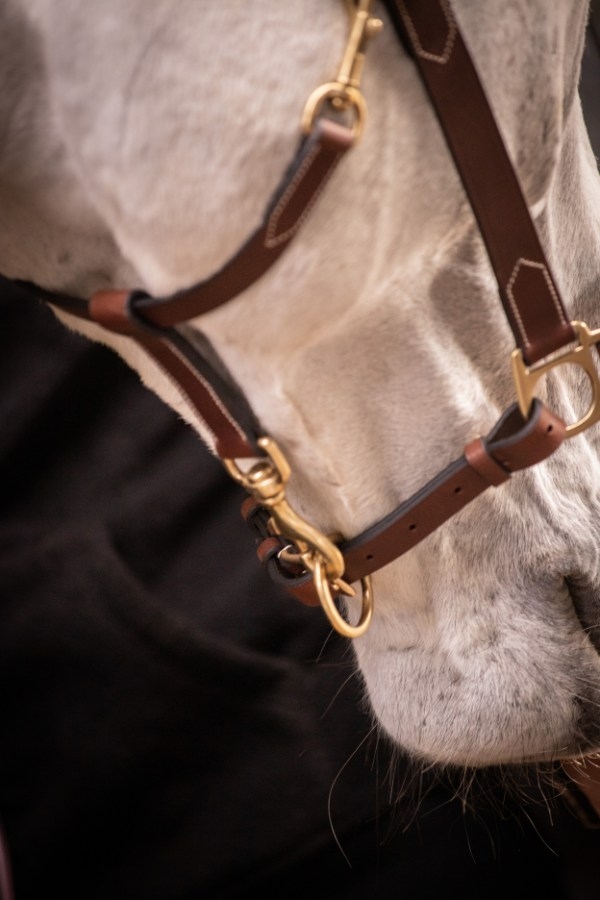 3-Snap Halter - Havana & Hazelnut