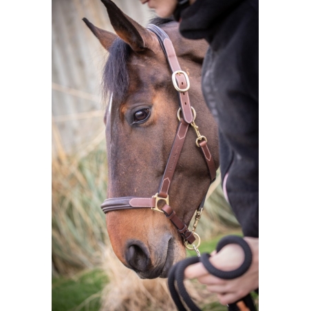 3-Snap Halter - Havana & Hazelnut
