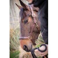 3-Snap Halter - Havana & Hazelnut 3-Snap Halter - Havana & Hazelnut