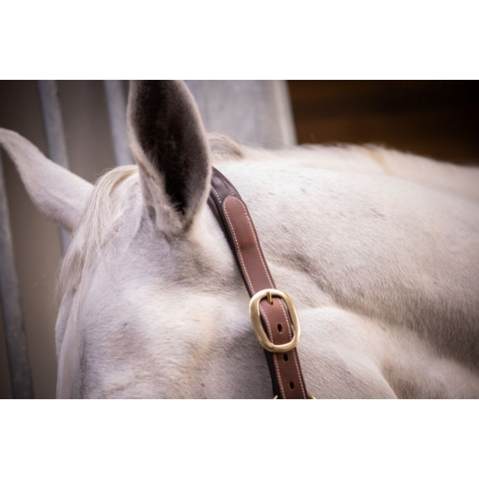 3-Snap Halter - Havana & Hazelnut