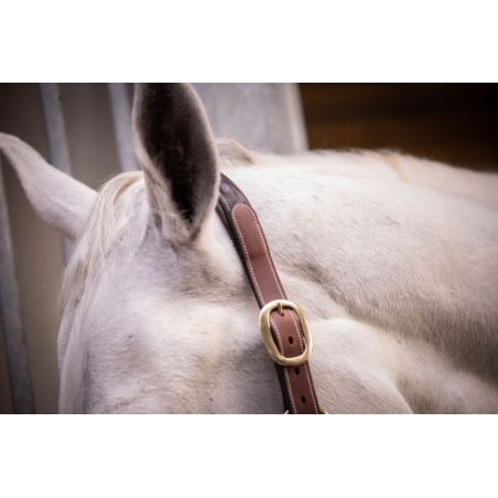 3-Snap Halter - Havana & Hazelnut