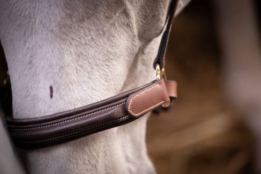 3-Snap Halter - Havana & Hazelnut