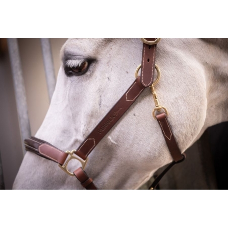 3-Snap Halter - Havana & Hazelnut