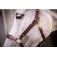 3-Snap Halter - Havana & Hazelnut 3-Snap Halter - Havana & Hazelnut