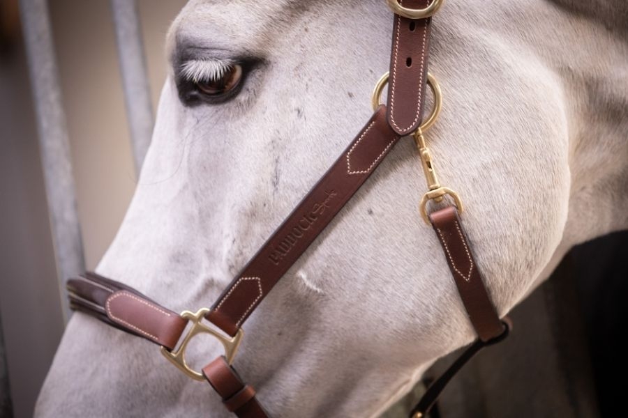 3-Snap Halter - Havana & Hazelnut