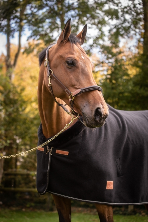 Diagonal Polar Fleece Sheet - Black