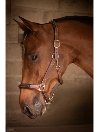 3-Snap Halter - Havana & Hazelnut