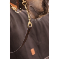 Longe de Présentation - Havane